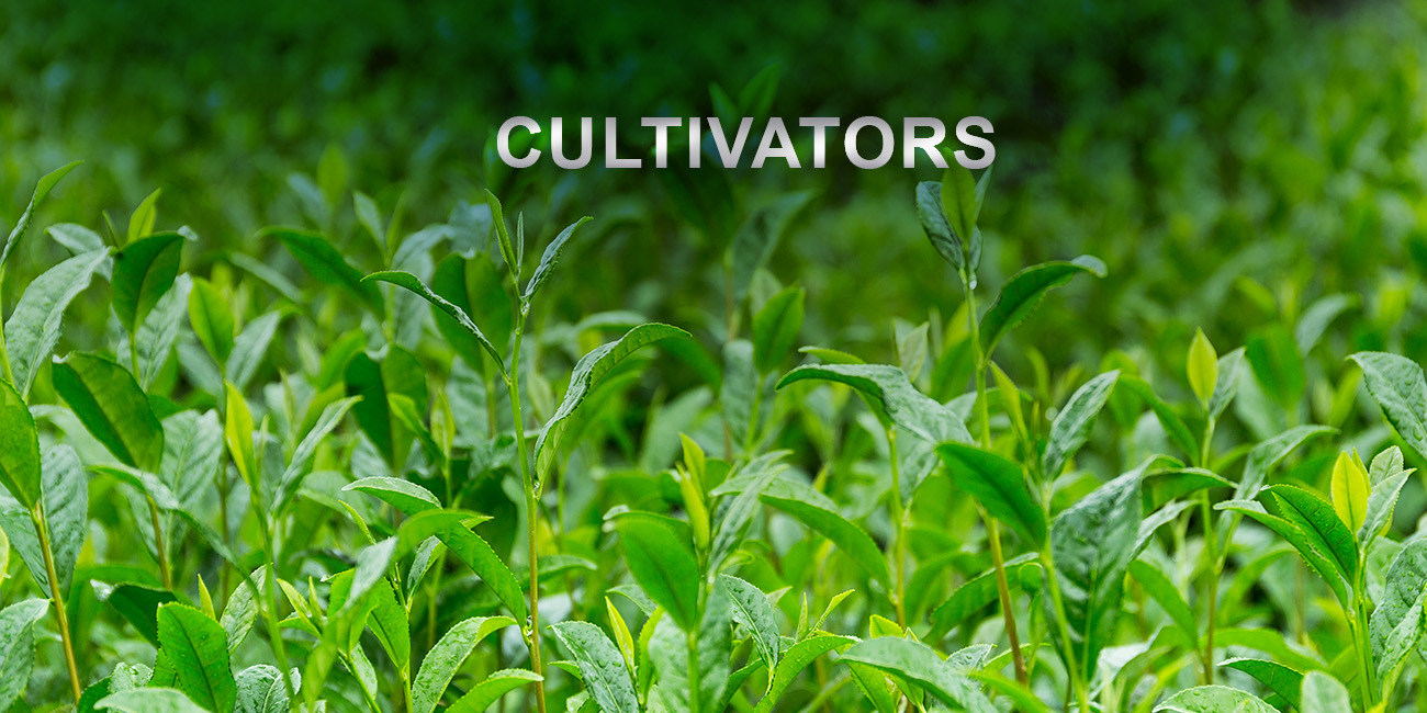 Cultivators