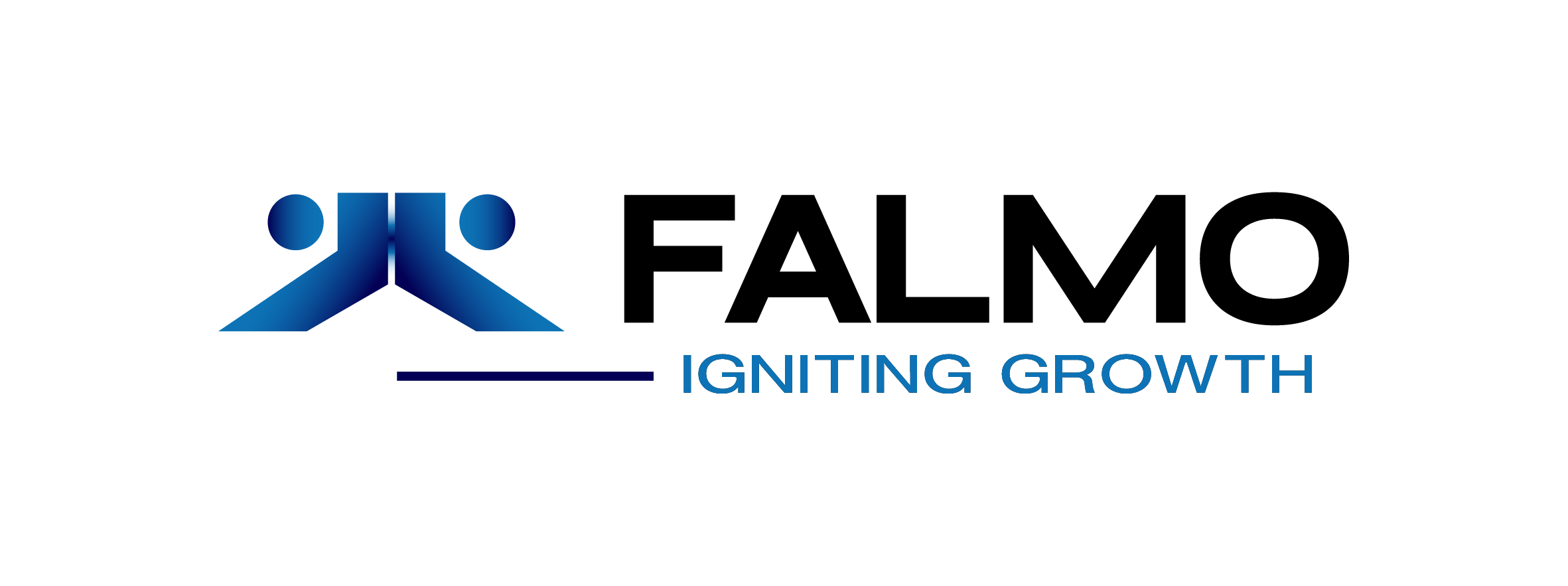 FALMO HOLDING LANKA LIMITED